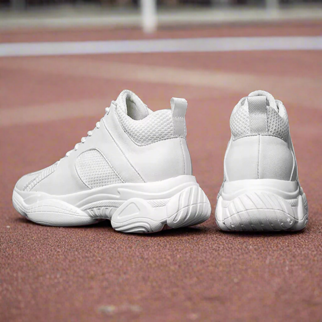 PEGASUS