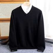 Luxe Cashmere V-Neck Sweater