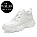 White (2.4" / 6 cm)