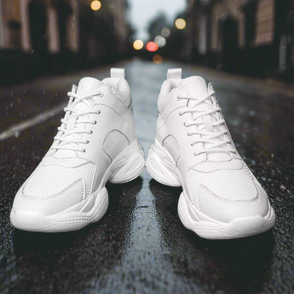 PEGASUS
