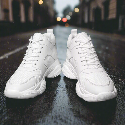 PEGASUS
