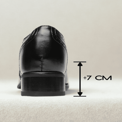 FORCIANO BROGUE black premium leather elevator dress shoe shown from the rear with a visible 7 cm height measurement graphic.