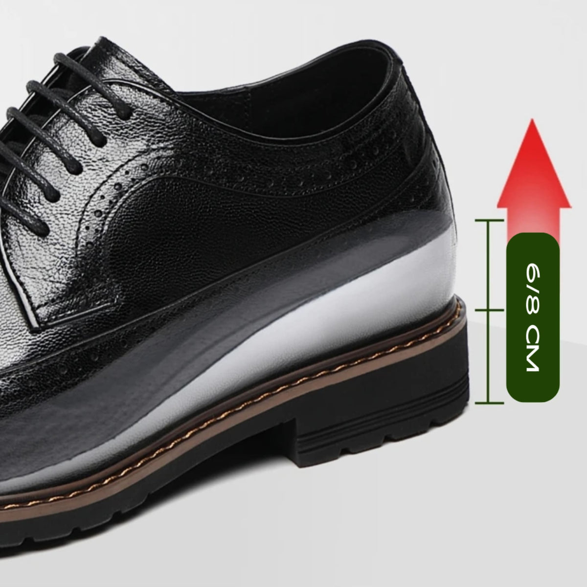 FORCIANO CELSUS Elevator Dress Shoes in black shown with a cutaway-style internal lift graphic indicating 8 cm height increase.