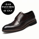 Brown (3.15" / 8 cm)